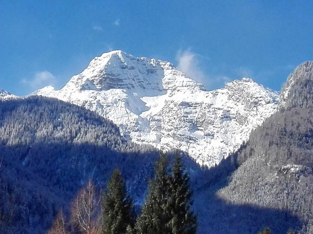 Pension Wildental Sankt Martin bei Lofer Exterior photo